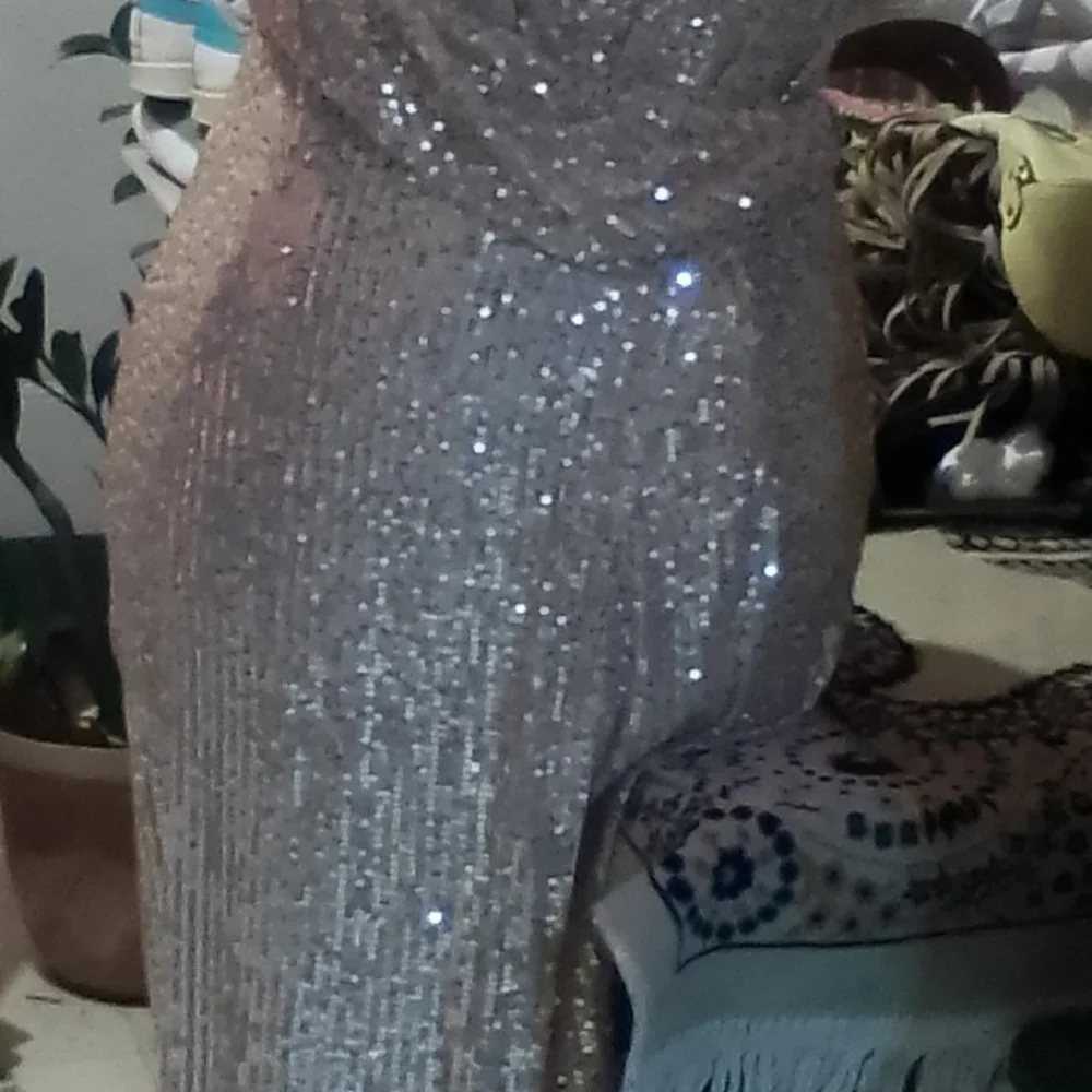 Prom/Wedding Dress - Picture 7 of 7